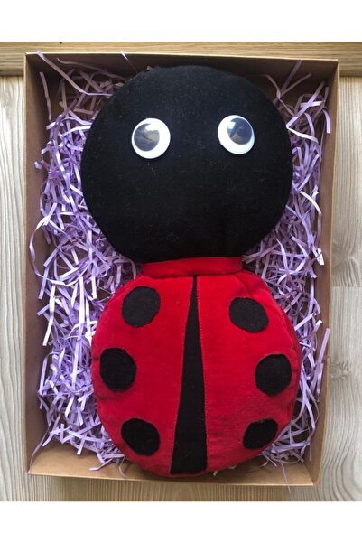 REGALOGİFT Bebek Sırt ve Kafa Koruma Minderi