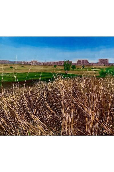 artoloji Soner Civrizoğlu - Isimsiz - 2022 - Tuval Üzerine Yağlıboya - 60x70 Cm