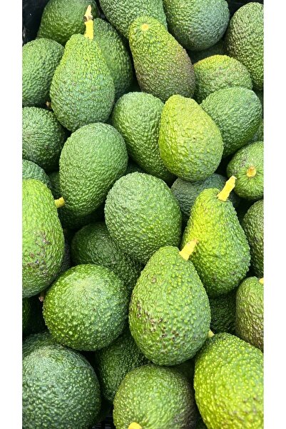 KILINÇ TROPİKAL 1 Kg Avokado Has Avokado