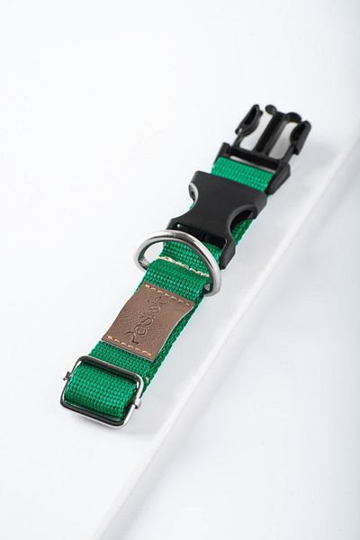 pasiole Adjustable Sturdy Dog Collar - Albero