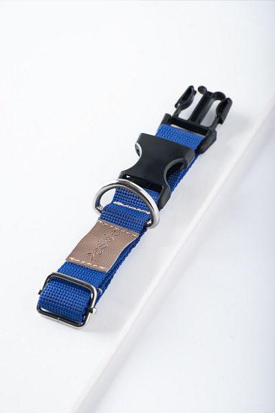 pasiole Adjustable Sturdy Dog Collar - Cielo