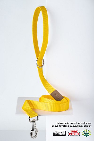 pasiole Adjustable Sturdy Dog Collar - Giallo, Dog Walking Strap Strap