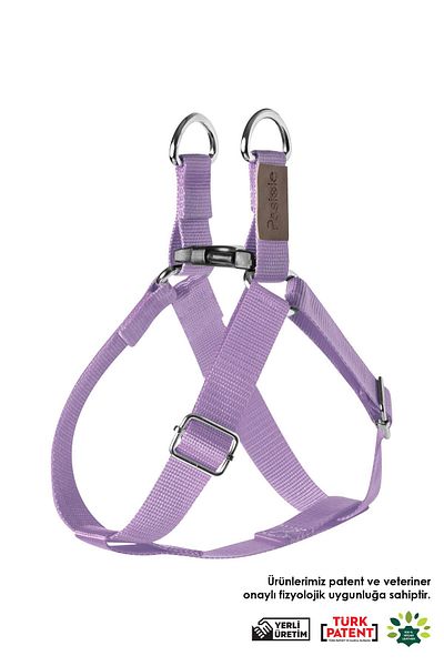 pasiole Adjustable Sturdy Dog Collar - Palo