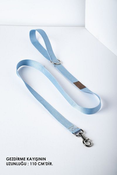 pasiole Adjustable Sturdy Dog Collar - Bumbi, Dog Walking Hanger Strap