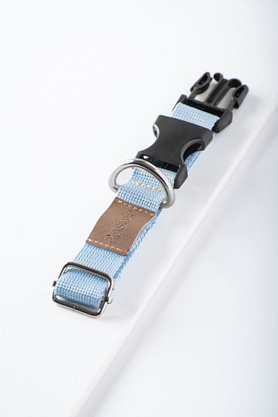 pasiole Adjustable Sturdy Dog Collar - Mila