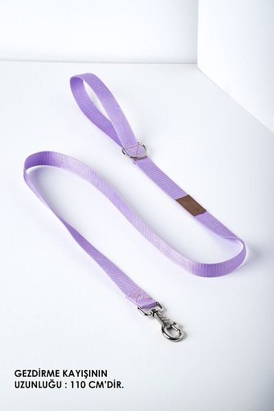 pasiole Adjustable Sturdy Dog Collar - Lilla, Dog Walking Hanger Strap
