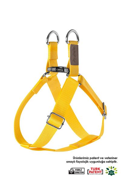 pasiole Adjustable Sturdy Dog Collar - Cestino