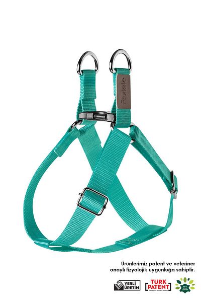 pasiole Adjustable Sturdy Dog Collar - Lute