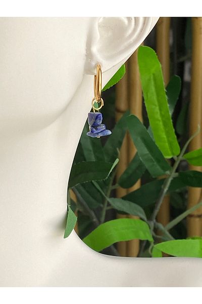 Lucios Stainless Special Design Natural Stone Steel Earrings