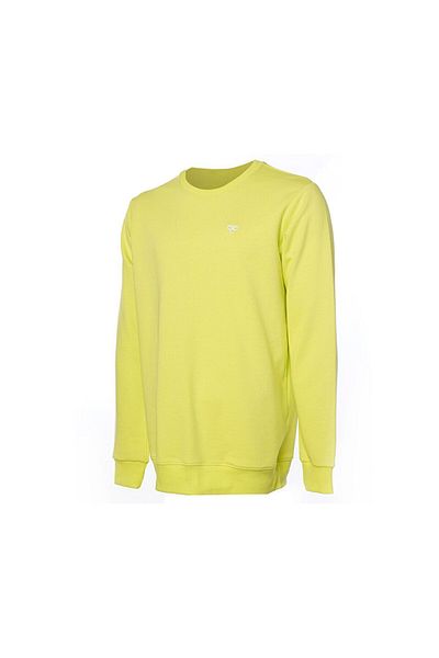 hummel Hmlt-Ic Ico Sweatshirt Ανδρικά καθημερινά φούτερ 921835 -6102 Κίτρινο