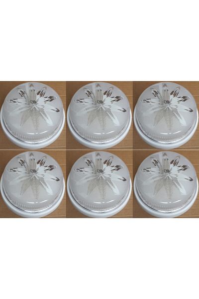 Nisaca Electrohan Lampholder Ceiling Lamp Glop Luminaire6-Piece Advantage Pack