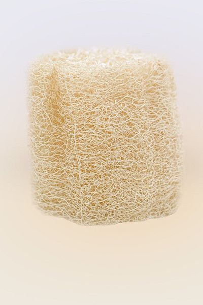 Şifamzade Natural Pumpkin Fiber (body Dish Cleaning)