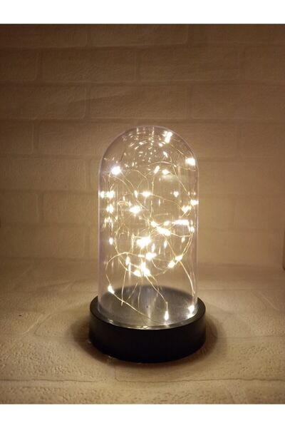 Genel Markalar Teraryum Ters Fanus + 3 Mt Peri Led