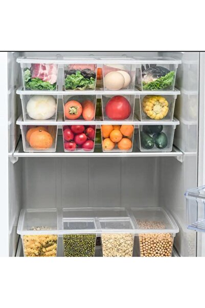 Bayev Luna 5-Compartment Crisper with Lid - Meat Fish Vegetable Organizer Picnic