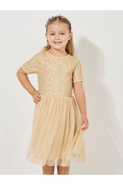 Styli Sequined Mesh Insert Dress