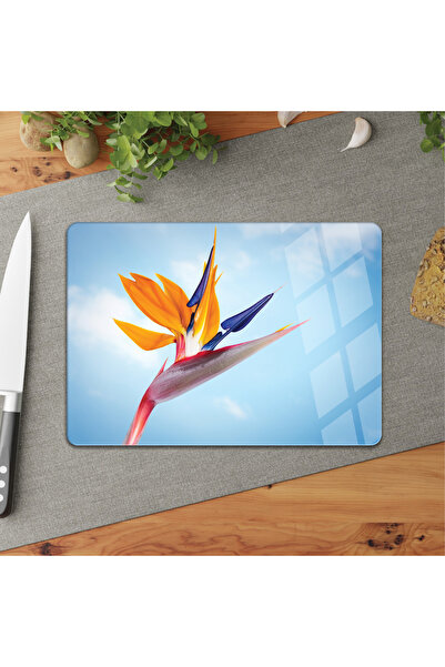 DreamHomes Rebirth 25*35 Glass Cutting Board
