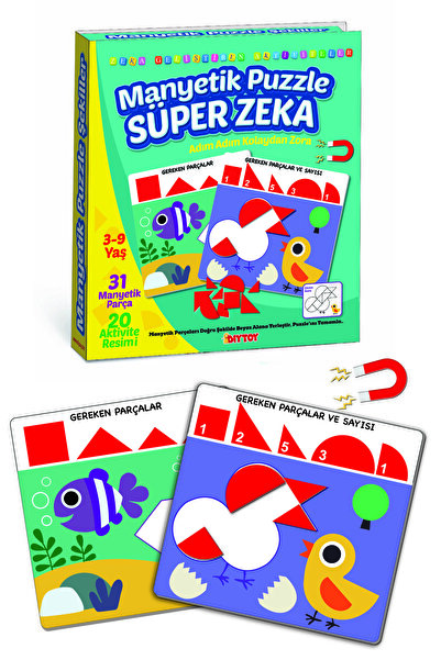 Diytoy Magnetic Puzzle Super Intelligence