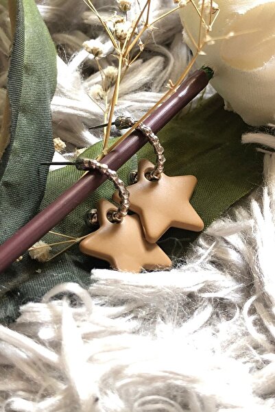 Leerybee Milky Brown Color Antiallergic Star Earrings