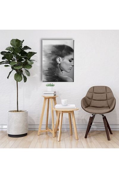 Desenlio Woman Canvas Painting