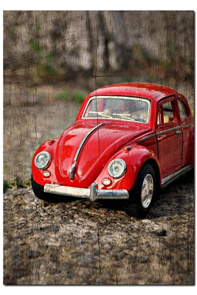 Cakatablo Ahşap Tablo Eski Zeminde Kırmizi Vosvos Görseli (25x35 Cm Boyut)