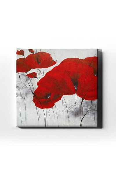 Desenlio Carnation Canvas Painting