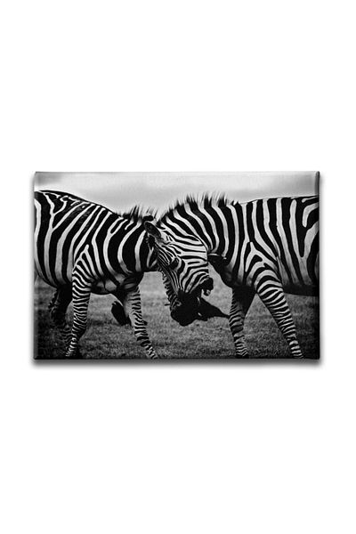 Desenlio Zebra Canvas Painting