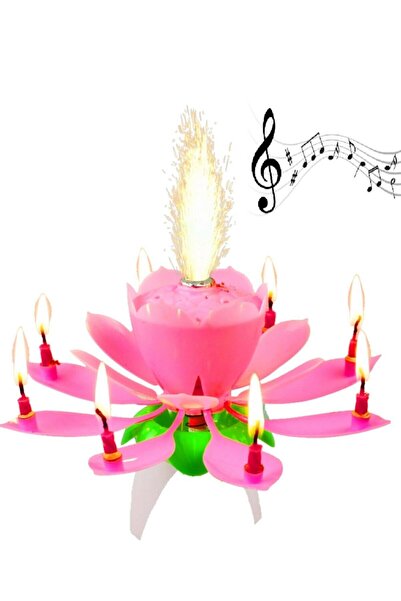 Kazanabil Çiçek Şeklinde Müzikli Pasta Mumu Pembe