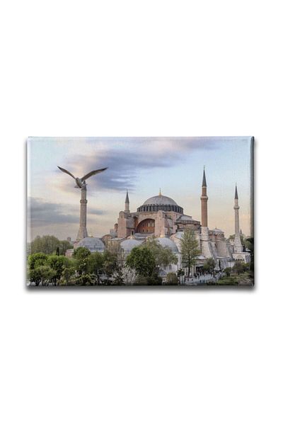 Desenlio Tabloul Moscheei Hagia Sofia