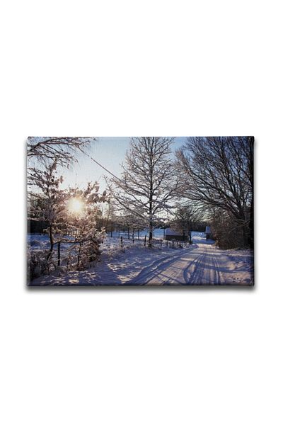 Desenlio Winter Landscape Painting