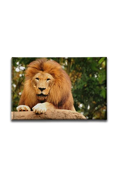 Desenlio Slika lava na platnu