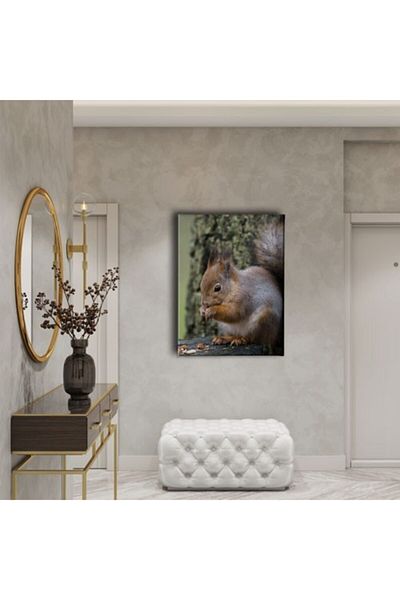 Desenlio Squirrel Canvas Painting