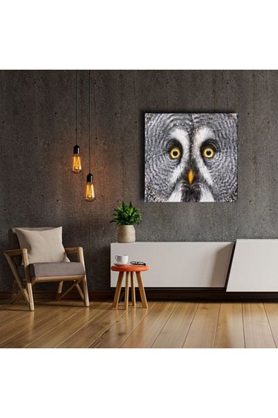 Desenlio Veiled Owl Canvas Print