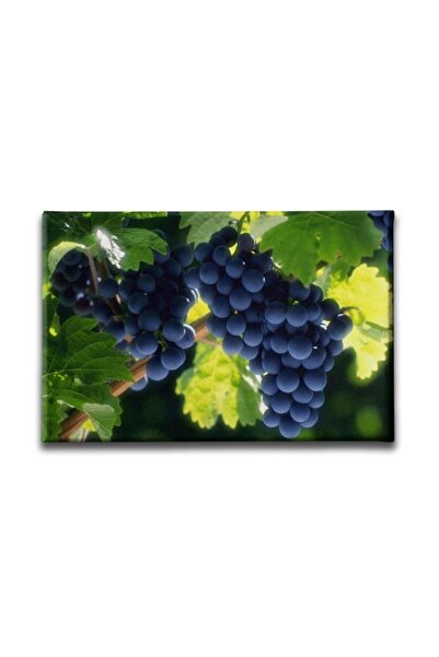 Desenlio Slika na platnu: Hrpa grožđa
