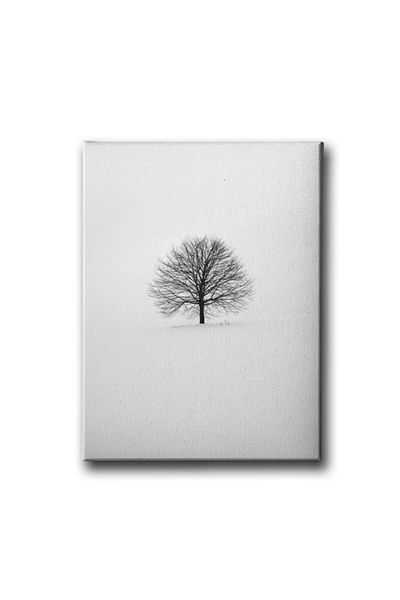 Desenlio Tree Canvas Painting