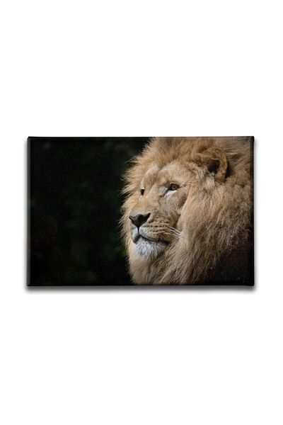 Desenlio Lion Canvas Painting