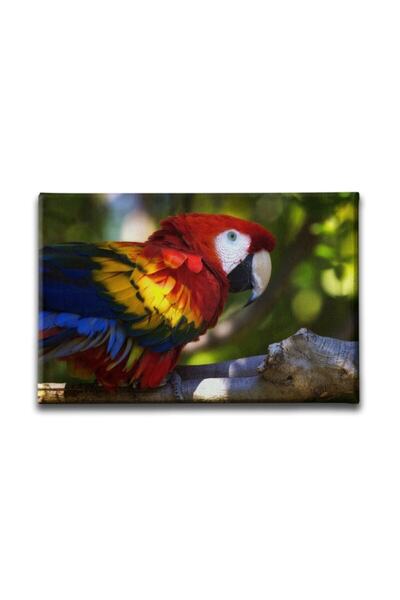 Desenlio Slika na platnu papagaja