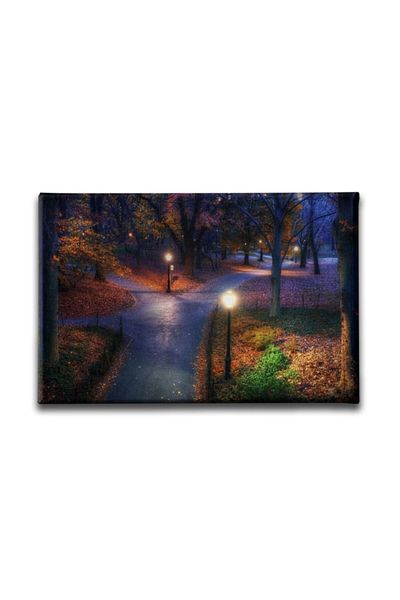 Desenlio Autumn Landscape Painting