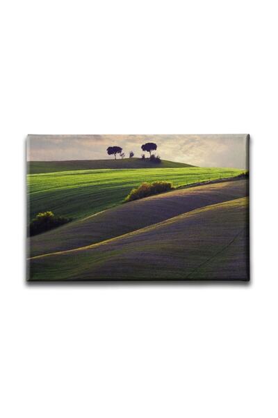 Desenlio Slikanje pejzaža polja