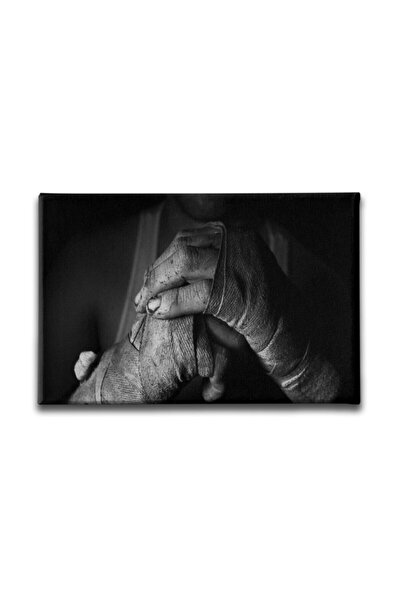 Desenlio Kick Boxing Canvas Painting