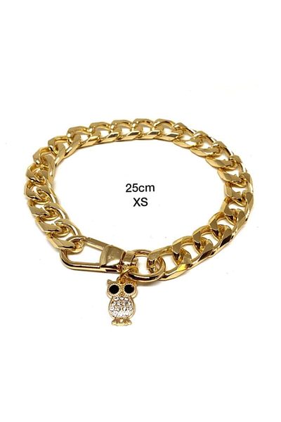 Petbucks Pet Accessories قلادة سلسلة ذهبية على شكل كلب قط Xs 25 سم 2107zkbaykuş