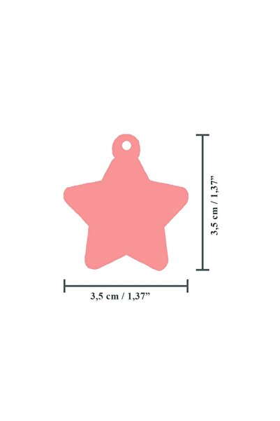 VenüsTakı Yıldız Şeklinde Kedi/ Köpek- İsimliği/ Künyesi