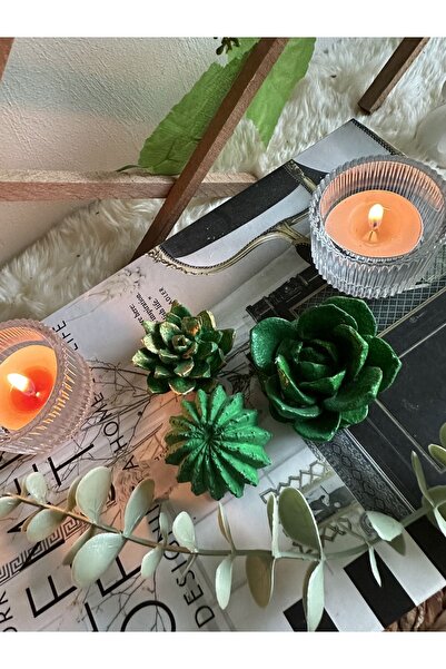 evdeki atölyem 3’lü kaktüs teraryum obje süs dekorasyon