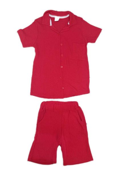 Little Baby Summer Shirt and Shorts Set