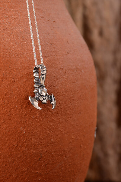 Ebrar Silver Gümüş Akrep Kolye 925 Ayar Gümüş Akrep Figürlü Unisex Kolye