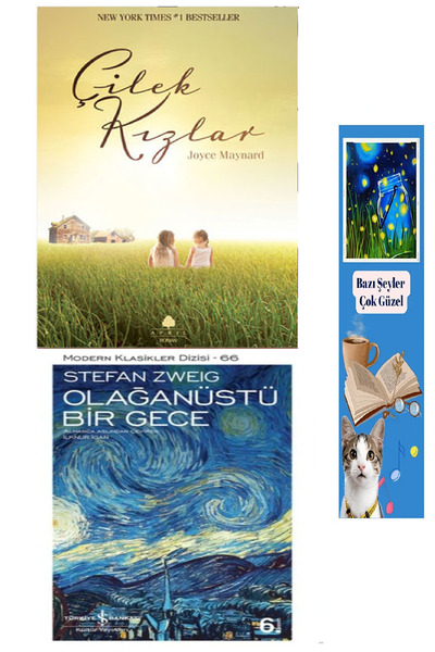 TÜRKİYE İŞ BANKASI KÜLTÜR YAYINLARI Çilek Kızlar Joyce Maynard (Koleksiyon Ki...