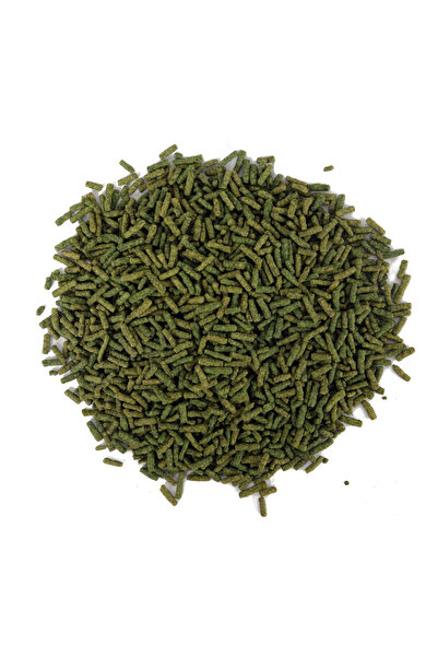 AMORE Gamarus Turtle 250ml, Calcium Sticks 250ml,AHM Su Kaplumbağası Yüzen Yemi, Tantivit-T