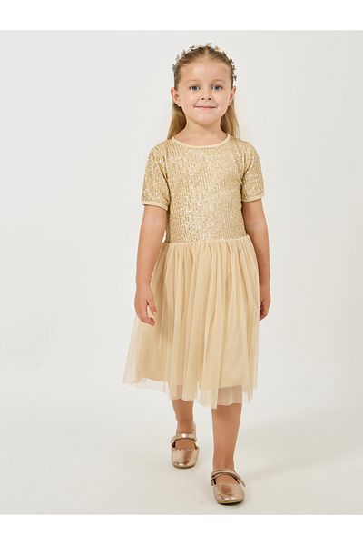 Styli Sequined Mesh Insert Dress