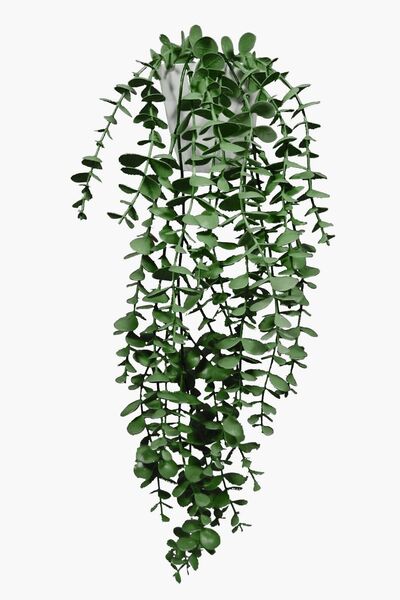 Lilac Home Yapay Çiçek Moblen Mika Elmas Beyaz Saksıda Yeşil Okaliptus Sarkıtı