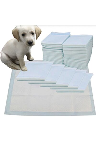 Sleepy Freshlife Kedi Köpek Çiş Pedi 60x90 30lu (4 Adet)