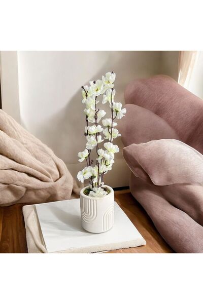 Trend KenT Beton Saksıda Gerçek Taş Yosunlu Yapay Japon Kiraz Çiçeği,Saksı ,Aranjman , Ev dekorasyon,